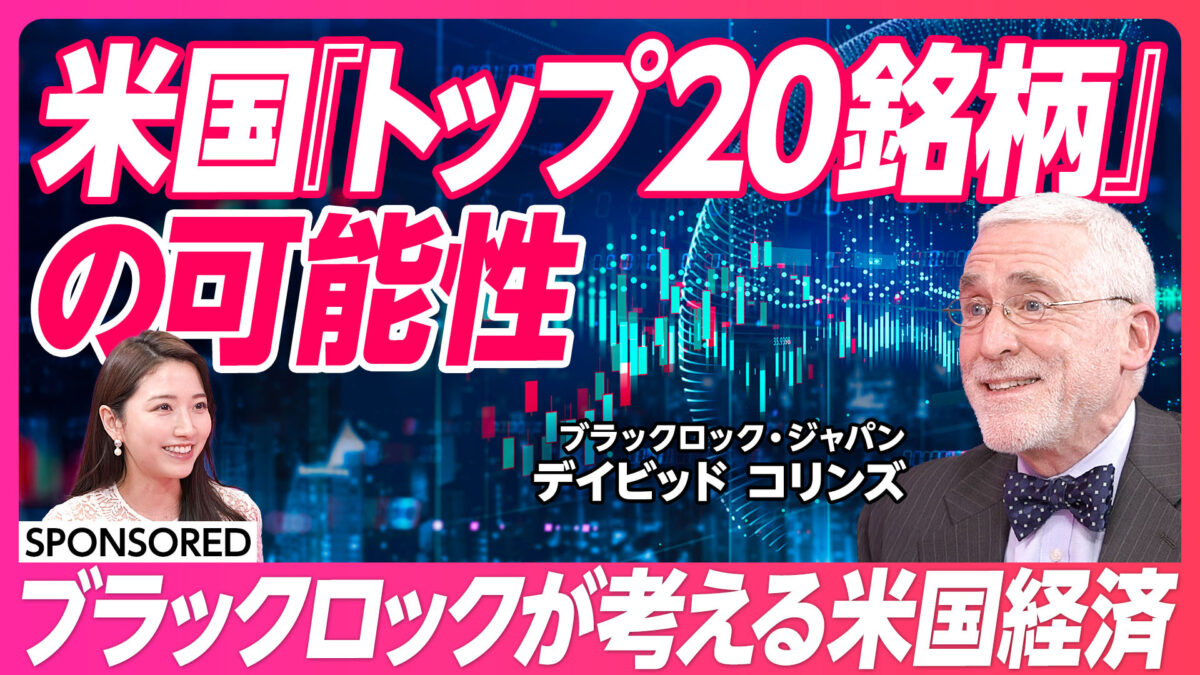 米国『トップ20銘柄』の可能性