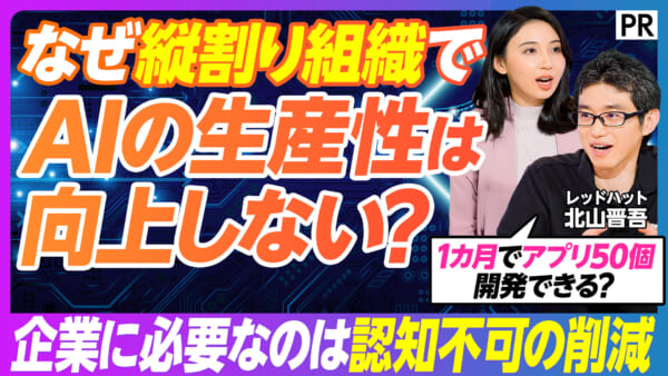なぜ縦割り組織で AIの生産性は向上しない？